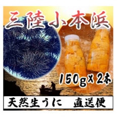 三陸小本浜産 生ウニ(牛乳瓶・150g)2本入り【配送不可地域:離島・沖縄・九州】【1409844】