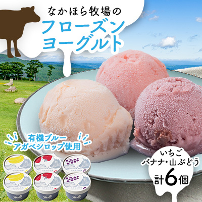 なかほら牧場のフローズンヨーグルト3種各2個 合計6個セット【配送不可地域:離島】【1447626】