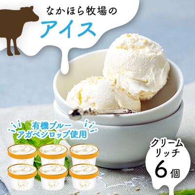 なかほら牧場 アイスクリーム《クリームリッチ》6個セット【配送不可地域:離島】【1407082】