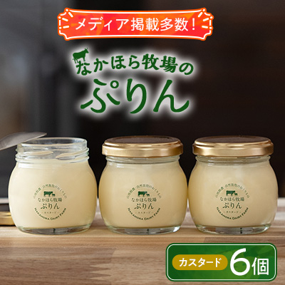 なかほら牧場のぷりん6個セット〔カスタード〕【配送不可地域：離島】【1315184】