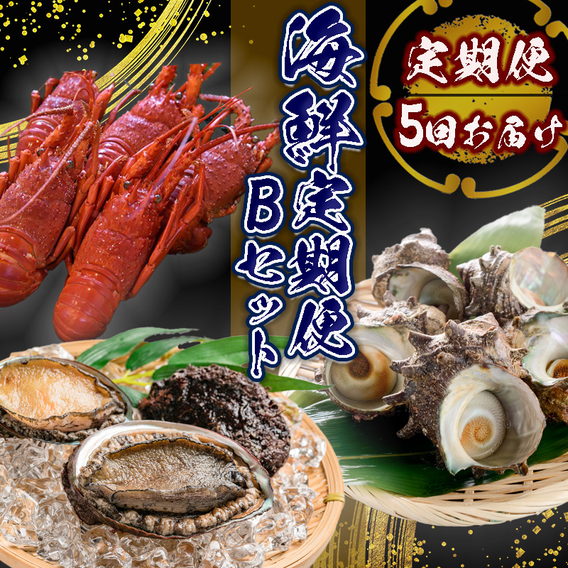 海鮮スペシャル定期便  Bセット 【豪華 定期便 BBQ 魚 大容量 伊勢海老 貝 あわび さざえ セット 金目鯛 】