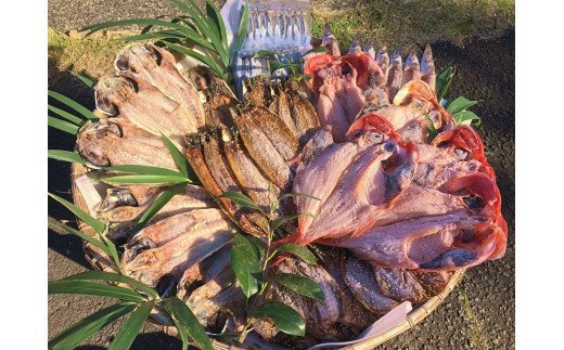 ひもの詰め合わせセット③ [干物 干物セット ひもの 定期便 おまかせ アジ サバ あじ さば 詰め合わせ 伊豆 海鮮 静岡県産]