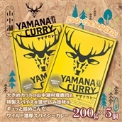 ヤマナカレー200グラム×5個