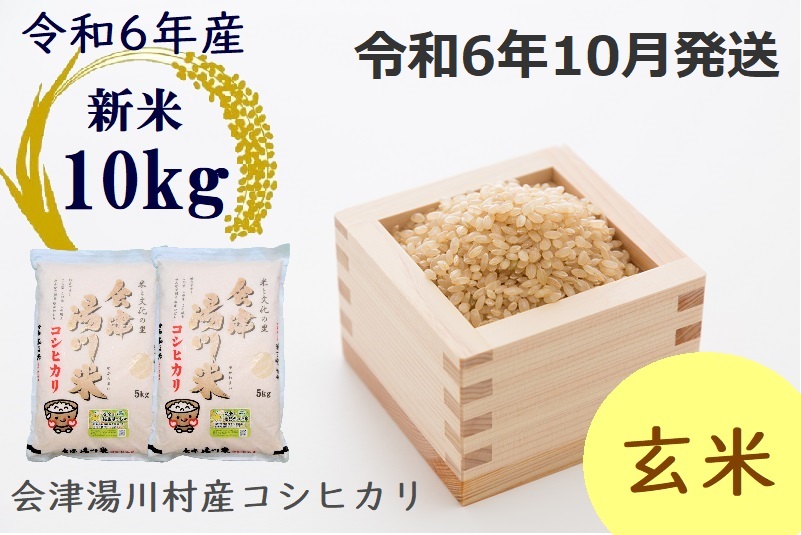 令和5年（古米）富山県コシヒカリ玄米約10キロ 愉しく