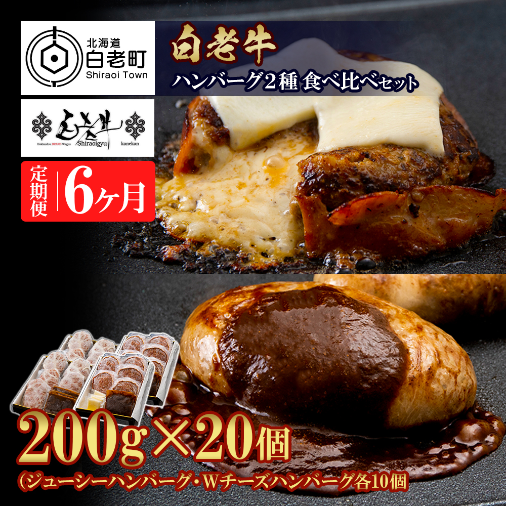 定期便6カ月 お楽しみ 白老牛 2種 食べ比べ ハンバーグ セット 合計20個 モッツァレラ ベーコン 網脂 特製ソース 手造り