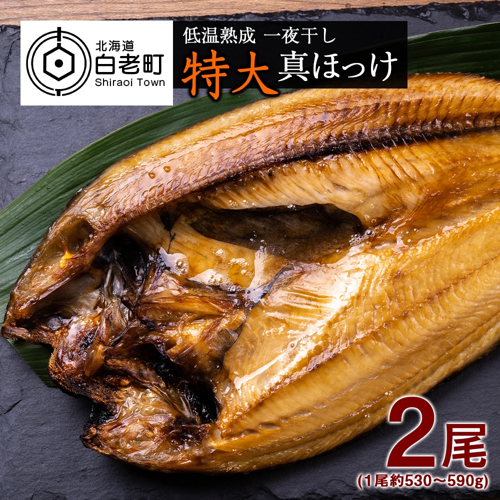 低温熟成 一夜干し 特大 真ほっけ ２尾 ＜北海道産＞