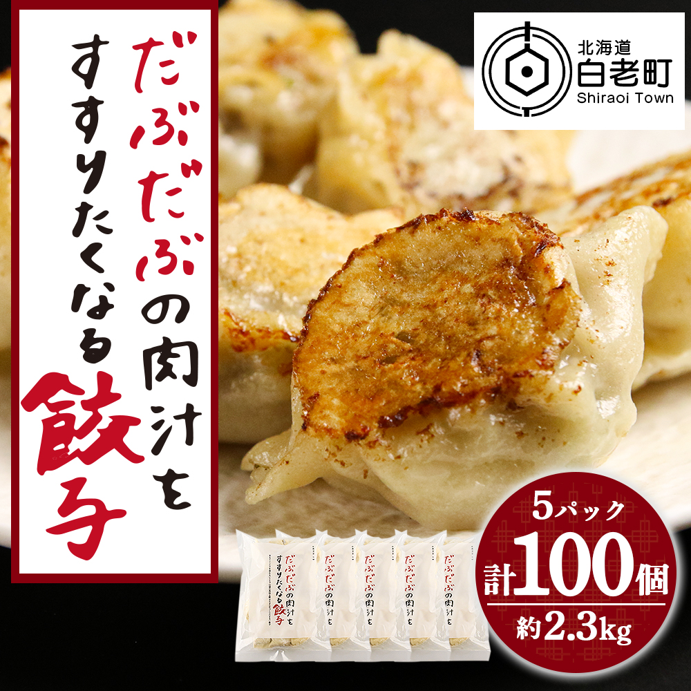 だぶだぶの肉汁をすすりたくなる餃子 100個(20個入×5パック)