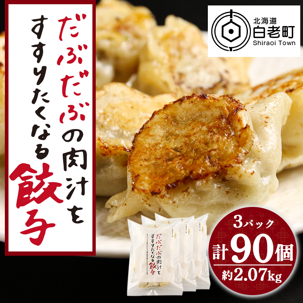 だぶだぶの肉汁をすすりたくなる餃子 90個(30個入×3パック)
