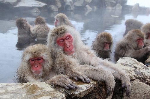 長野県山ノ内町