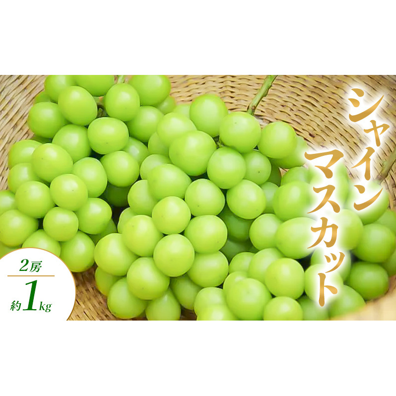 シャインマスカット 2房 約1kg ぶどう ブドウ 葡萄 マスカット 果物 フルーツ 長野県 長野 山ノ内町