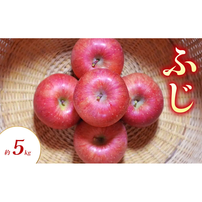 ふじ 約5kg りんご リンゴ 林檎 果物 フルーツ 長野県 長野 山ノ内町