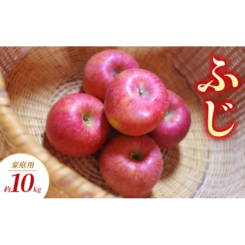 ふじ 家庭用 約10kg りんご リンゴ 林檎 果物 フルーツ 長野県 長野 山ノ内町