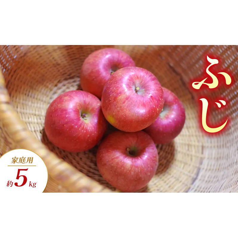 ふじ 家庭用 約5kg りんご リンゴ 林檎 果物 フルーツ 長野県 長野 山ノ内町