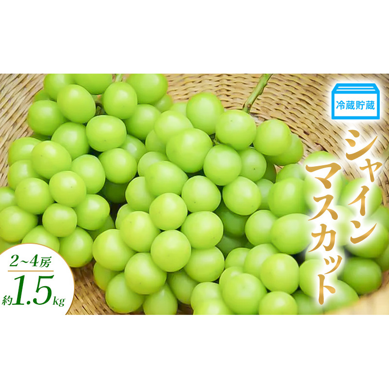 冷蔵貯蔵 シャインマスカット 2～4房 約1.5kg ぶどう ブドウ 葡萄 マスカット 果物 フルーツ 長野県 長野 山ノ内町