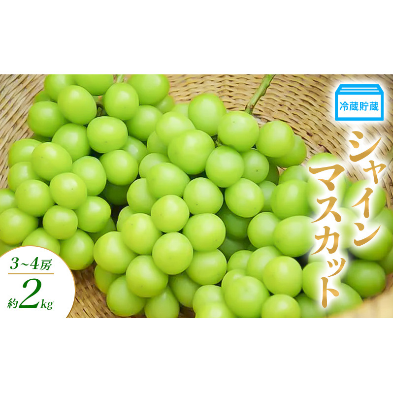冷蔵貯蔵 シャインマスカット 3～4房 約2kg ぶどう ブドウ 葡萄 マスカット 果物 フルーツ 長野県 長野 山ノ内町