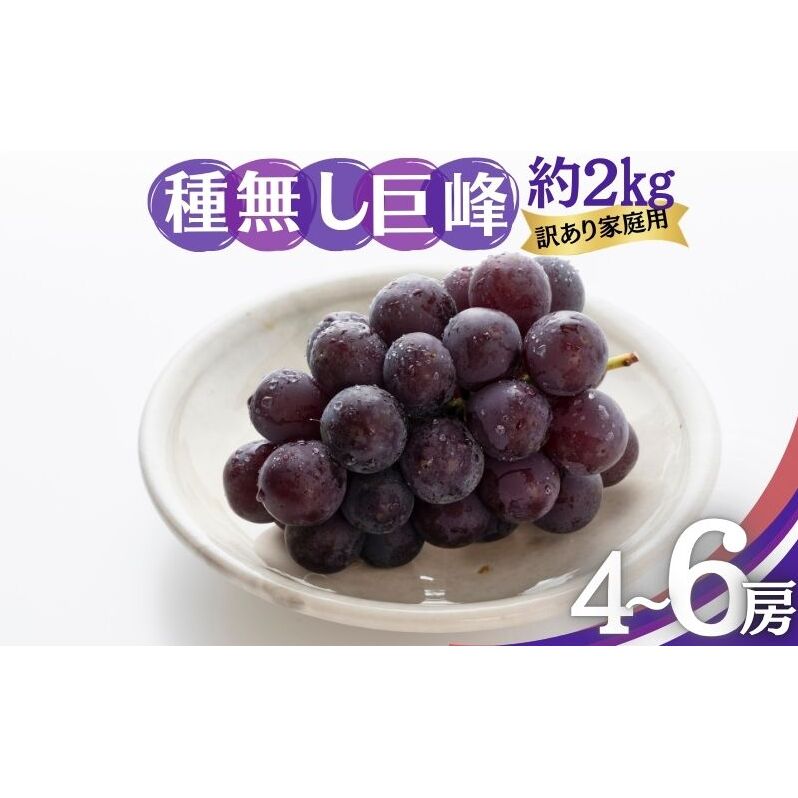 種無し巨峰 訳あり家庭用 約2kg 4～6房 ぶどう 葡萄 巨峰 果物 信州 長野