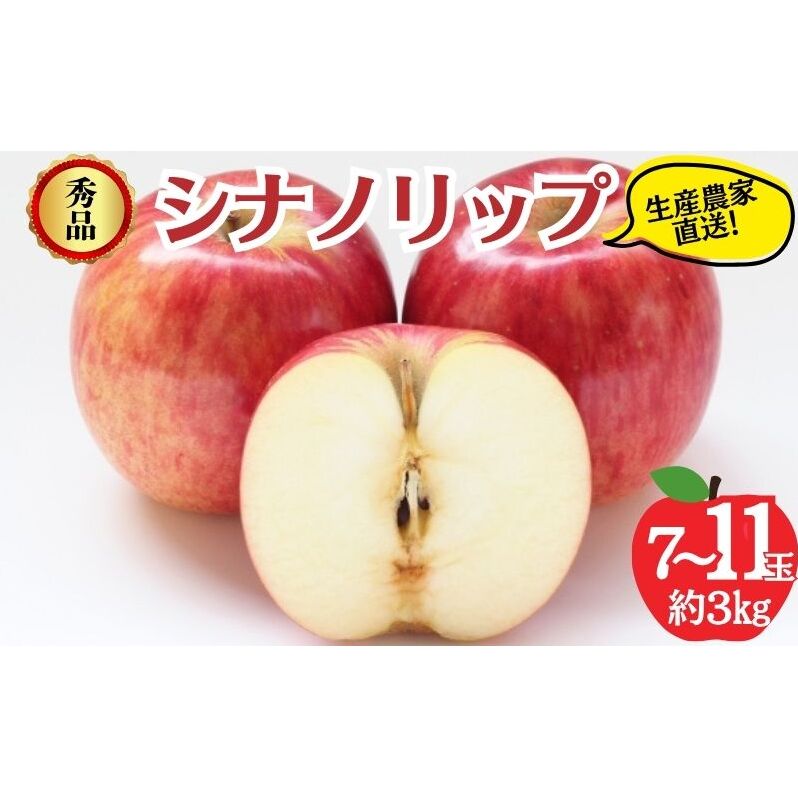 シナノリップ 秀品 約3kg 7～11玉 りんご 果物 信州 長野