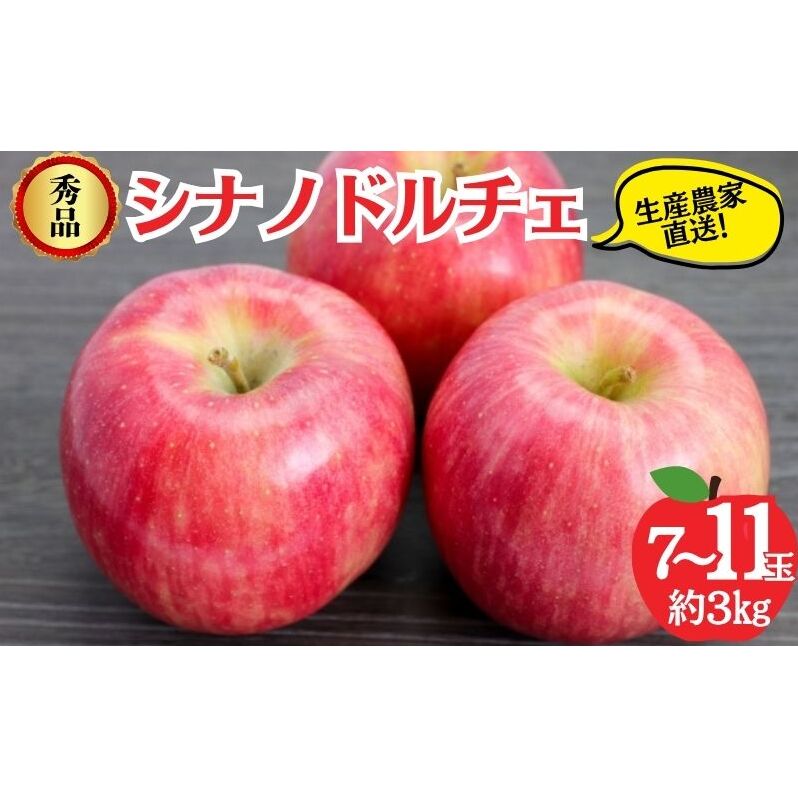 シナノドルチェ 秀品 約3kg 7～11玉 りんご 果物 信州 長野