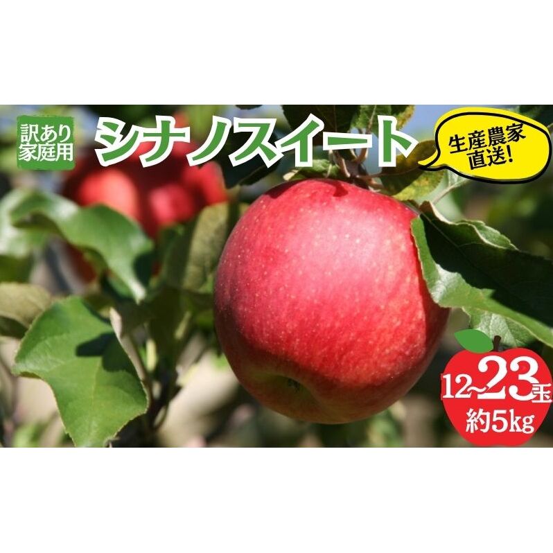 シナノスイート 訳あり家庭用 約5kg 12～23玉 りんご 果物 訳あり 信州 長野