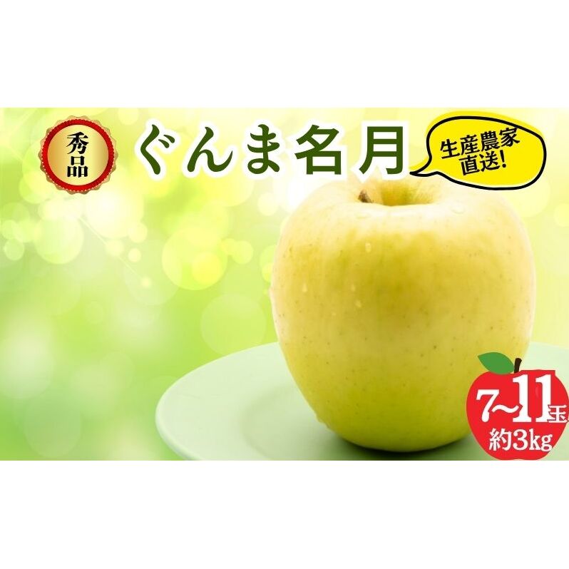 ぐんま名月 秀品 約3kg 7～11玉 りんご 果物 信州 長野