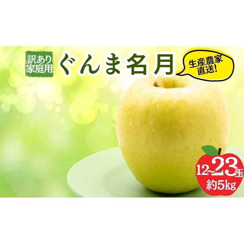 ぐんま名月 訳あり家庭用 約5kg 12～23玉 りんご 果物 訳あり 信州 長野