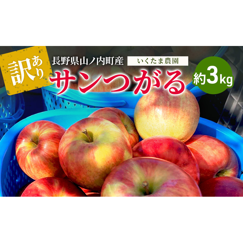 【訳あり】サンつがる 約3kg リンゴ りんご フルーツ 果物 お取り寄せ 長野県 山ノ内町