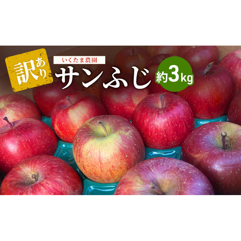 【訳あり】サンふじ　約3kg リンゴ りんご フルーツ 果物 お取り寄せ 長野県 山ノ内町