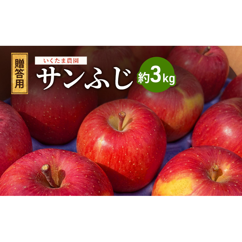 【贈答用】葉とらずサンふじ　約3kg リンゴ りんご フルーツ 果物 お取り寄せ 長野県 山ノ内町
