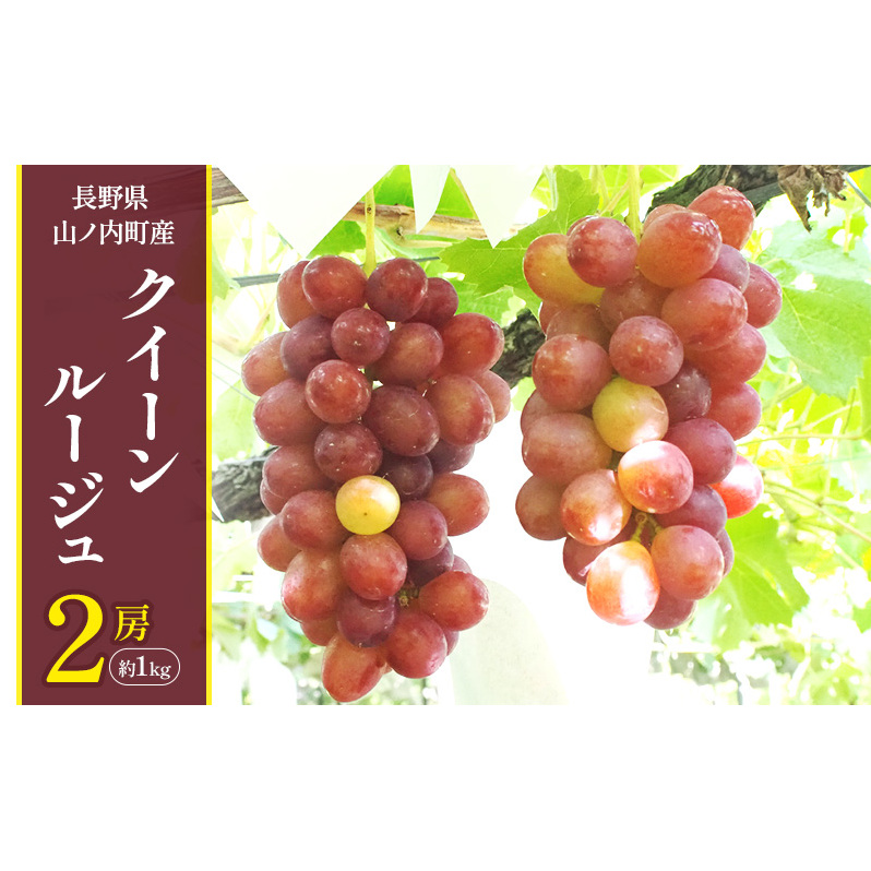 クイーンルージュ2房約1kg ぶどう ブドウ 果物 くだもの フルーツ 信州 長野