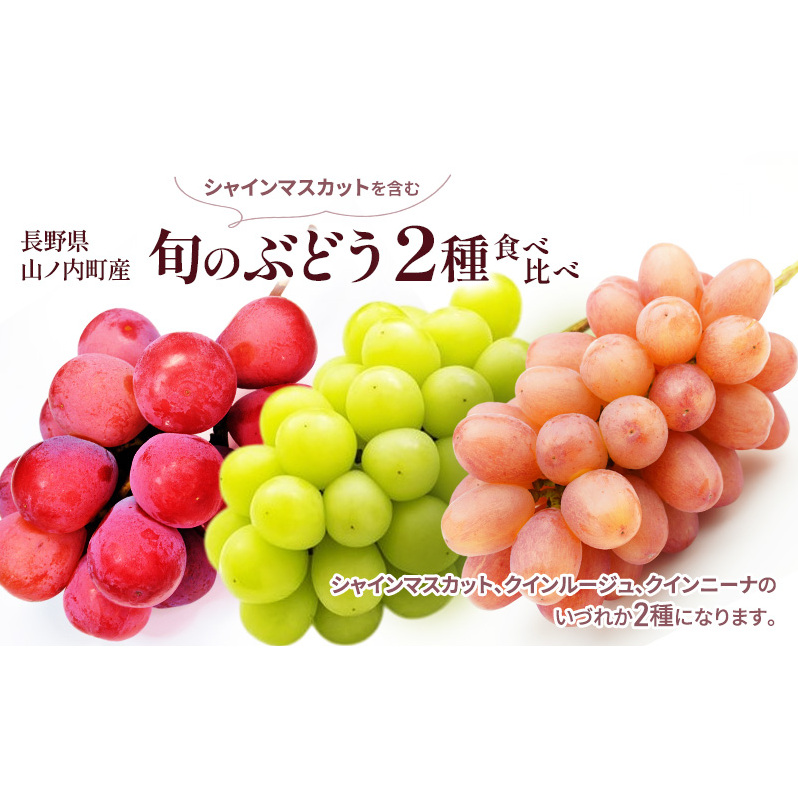 シャインマスカットを含む旬のぶどう2種食べ比べ ぶどう ブドウ 果物 くだもの フルーツ 信州 長野