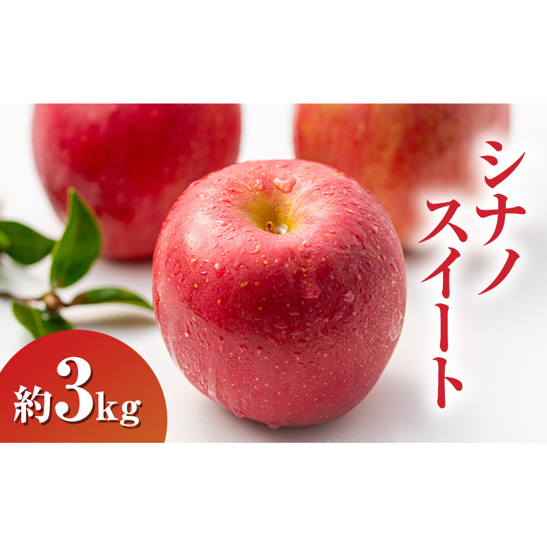 シナノスイート約3kg 7～9玉 りんご 長野県産