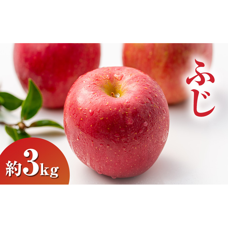 ふじ約3kg 7～9玉 りんご 長野県産