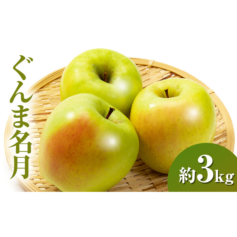 ぐんま名月約3kg 7～9玉 りんご 長野県産