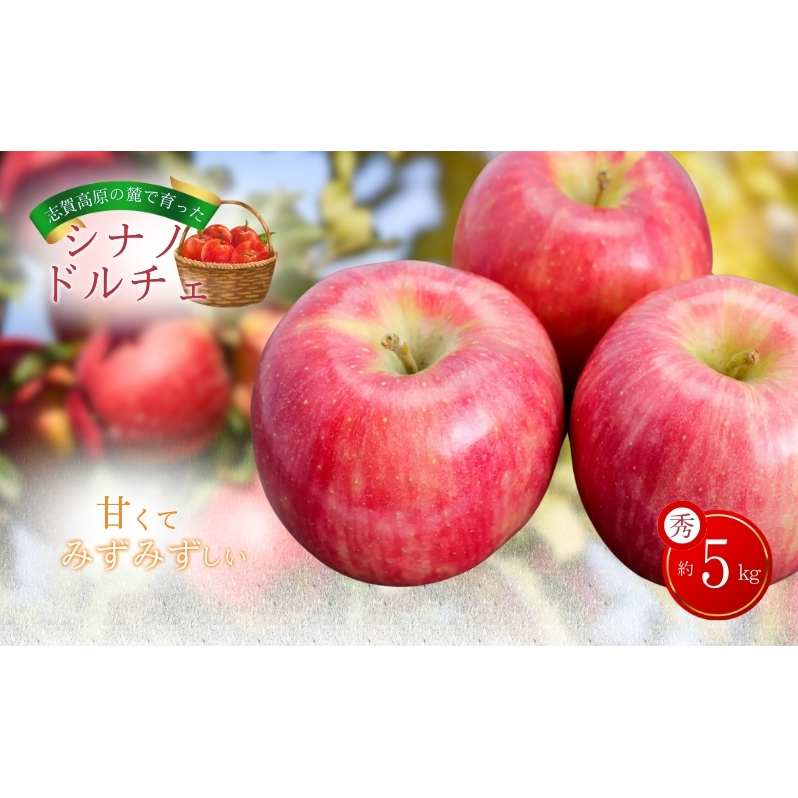 志賀高原の麓で育った シナノドルチェ 秀16玉 約5kg  りんご フルーツ 果物 おやつ 長野県 長野
