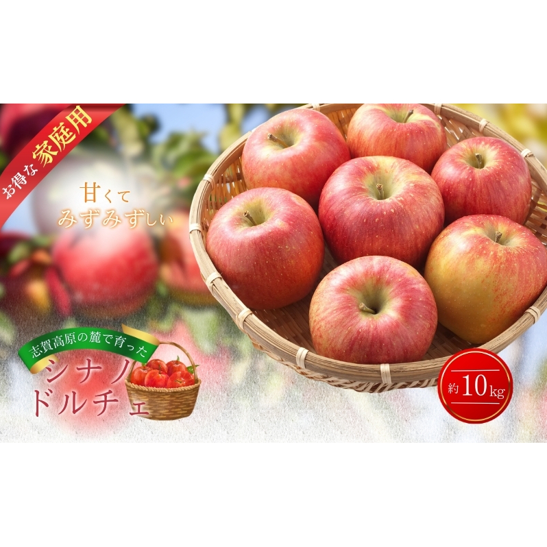 志賀高原の麓で育った シナノドルチェ （家庭用）約10kg  りんご 10kg フルーツ 長野