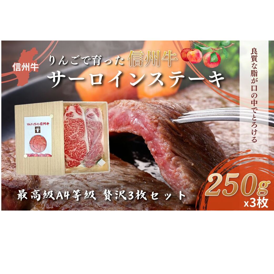 【りんごで育った信州牛】ステーキ用3枚入り【 牛肉 信州牛 サーロインステーキ 黒毛和牛 A4 サーロイン ステーキ 肉 お肉 牛 和牛 焼肉 焼き肉 BBQ バーベキュー ギフト 冷蔵 長野県 長野 】 