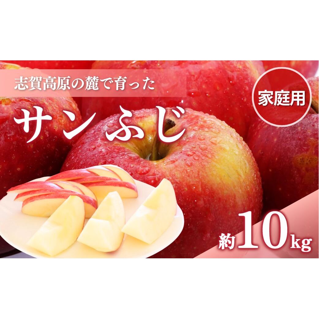【2026年発送】志賀高原の麓で育った サンふじ （家庭用）約10kg りんご 10kg フルーツ 果物 デザート 長野