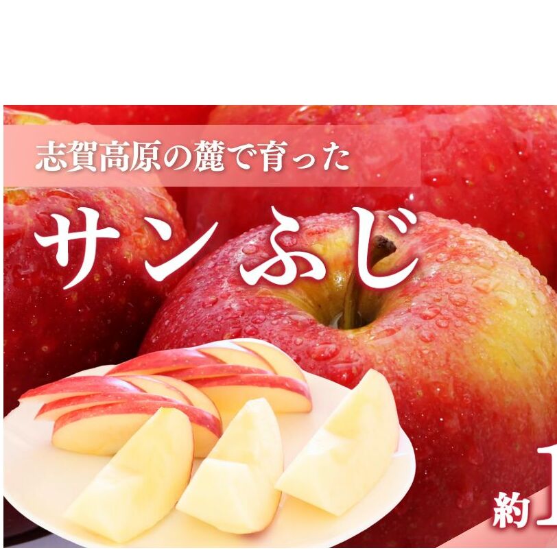 志賀高原の麓で育った サンふじ （家庭用）約10kg  りんご 10kg フルーツ 果物 デザート 長野 