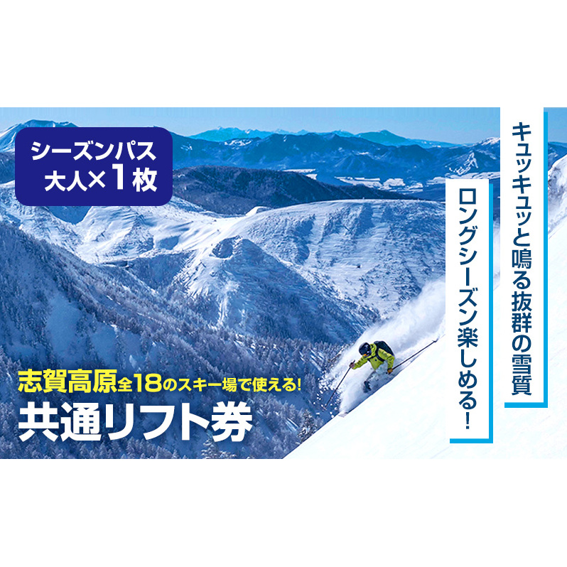 関東20スキー場 共通スキーリフト1日 引換券 群馬県・栃木県・山梨県 4枚 - スポーツ