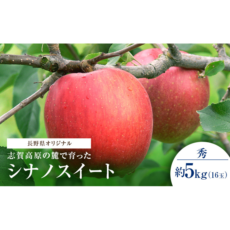 志賀高原の麓で育った シナノスイート 秀16玉 約5kg りんご フルーツ 果物 デザート 長野県 長野