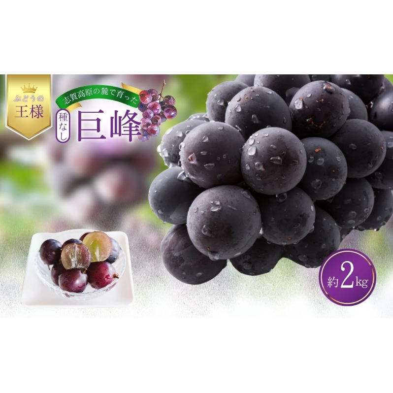 志賀高原の麓で育った 種なし 巨峰 3～5房 約2kg  ぶどう フルーツ 果物 デザート 長野県 長野