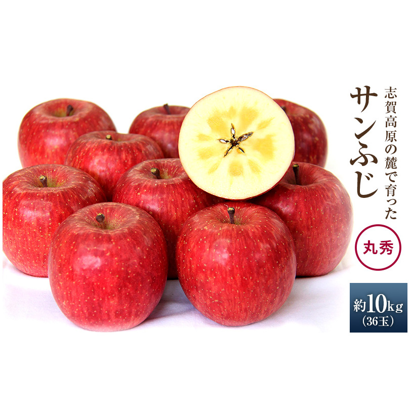 志賀高原の麓で育った サンふじ 丸秀36玉 約10kg りんご 10kg フルーツ 果物 デザート 長野