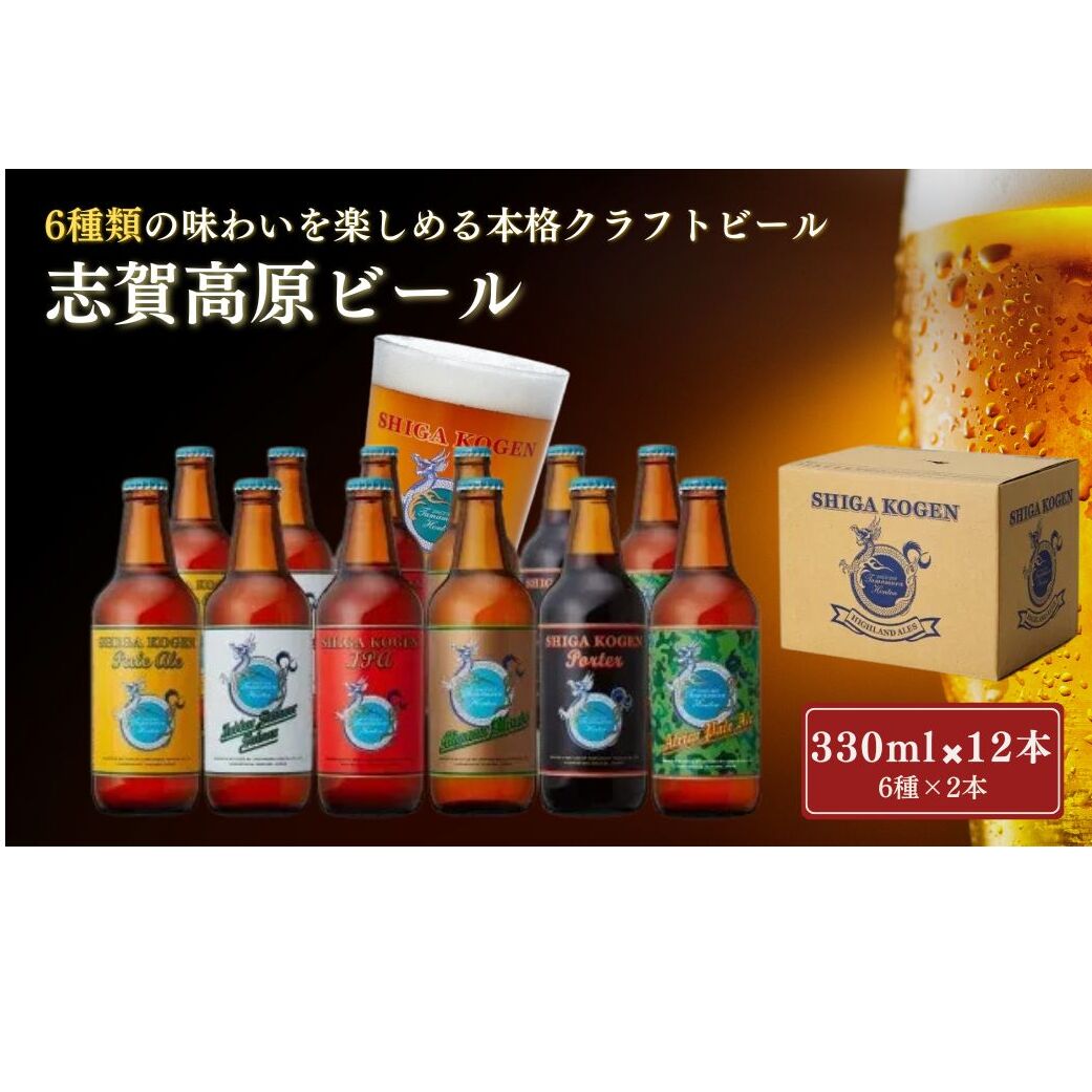玉村本店 志賀高原ビール12本セット 【 クラフトビール 志賀高原ビール 飲み比べセット ビール 詰め合わせ セット 地ビール 飲み比べ 黒ビール IPA ipa ペールエール ギフト 酒 お酒 アルコール 飲料 志賀高原 長野県 長野 】 