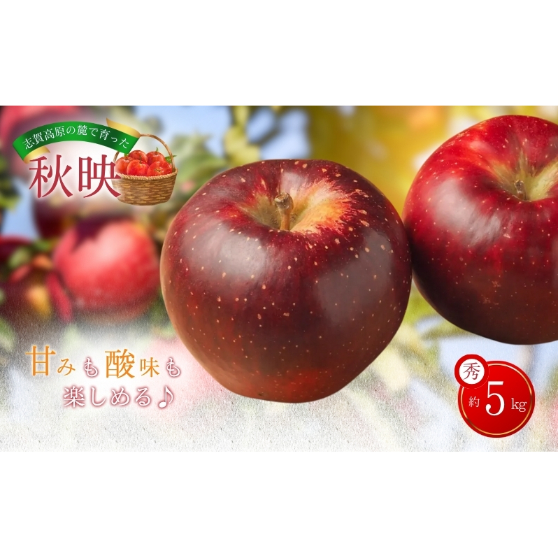 志賀高原の麓で育った 秋映 秀16玉 約5kg  りんご リンゴ フルーツ 果物 デザート おやつ 長野県 長野