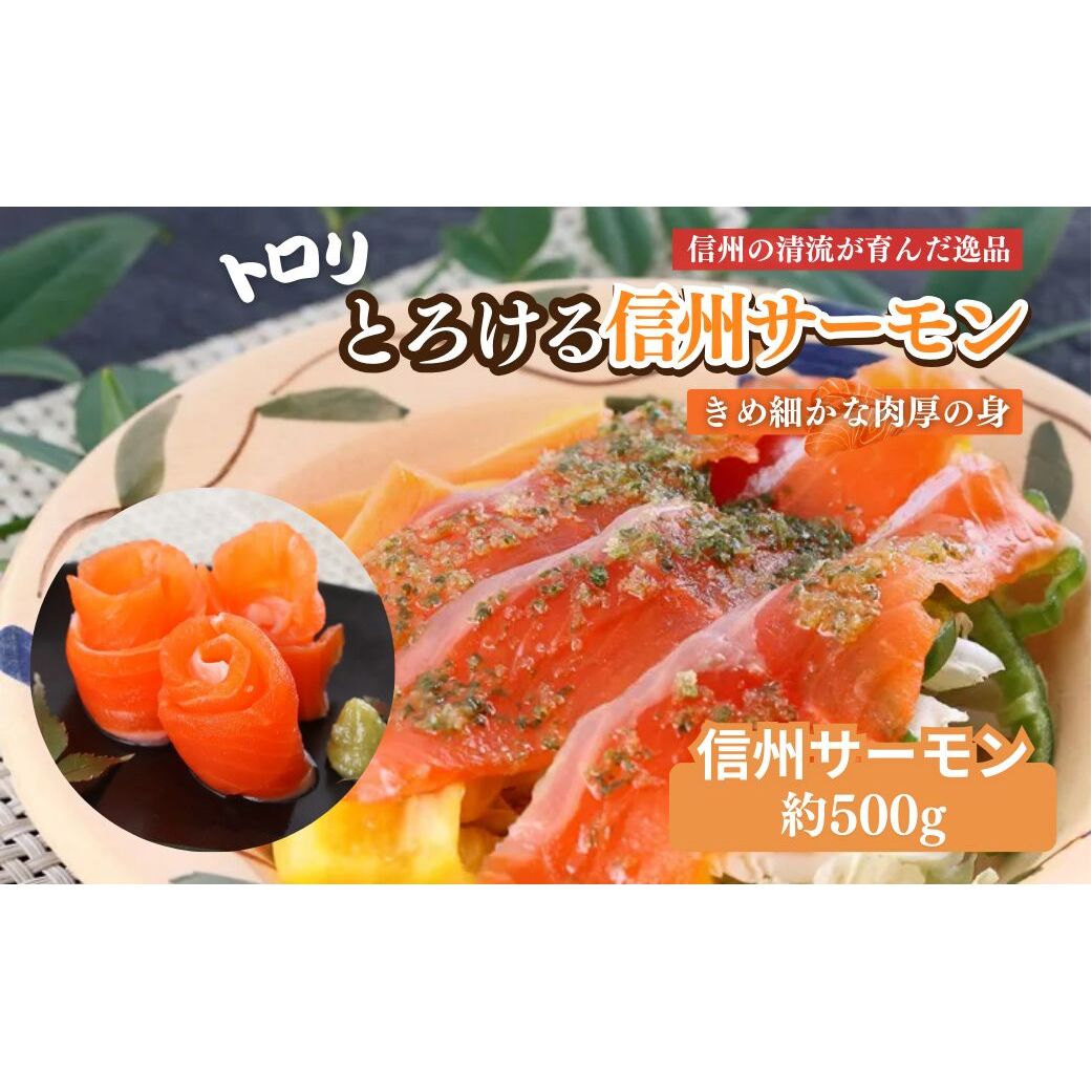 サーモン 生食用 信州サーモン (虹鱒×ブラウントラウト) 約500g スライス 刺身 生 鮭