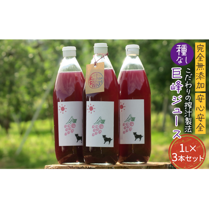 【完全無添加】【安心安全】【こだわりの搾汁製法】種なし巨峰ジュース 3本セット【栽培期間中 除草剤・ネオニコチノイド系農薬・化学肥料不使用】 果実飲料 フルーツジュース 飲み物 グレープジュース 