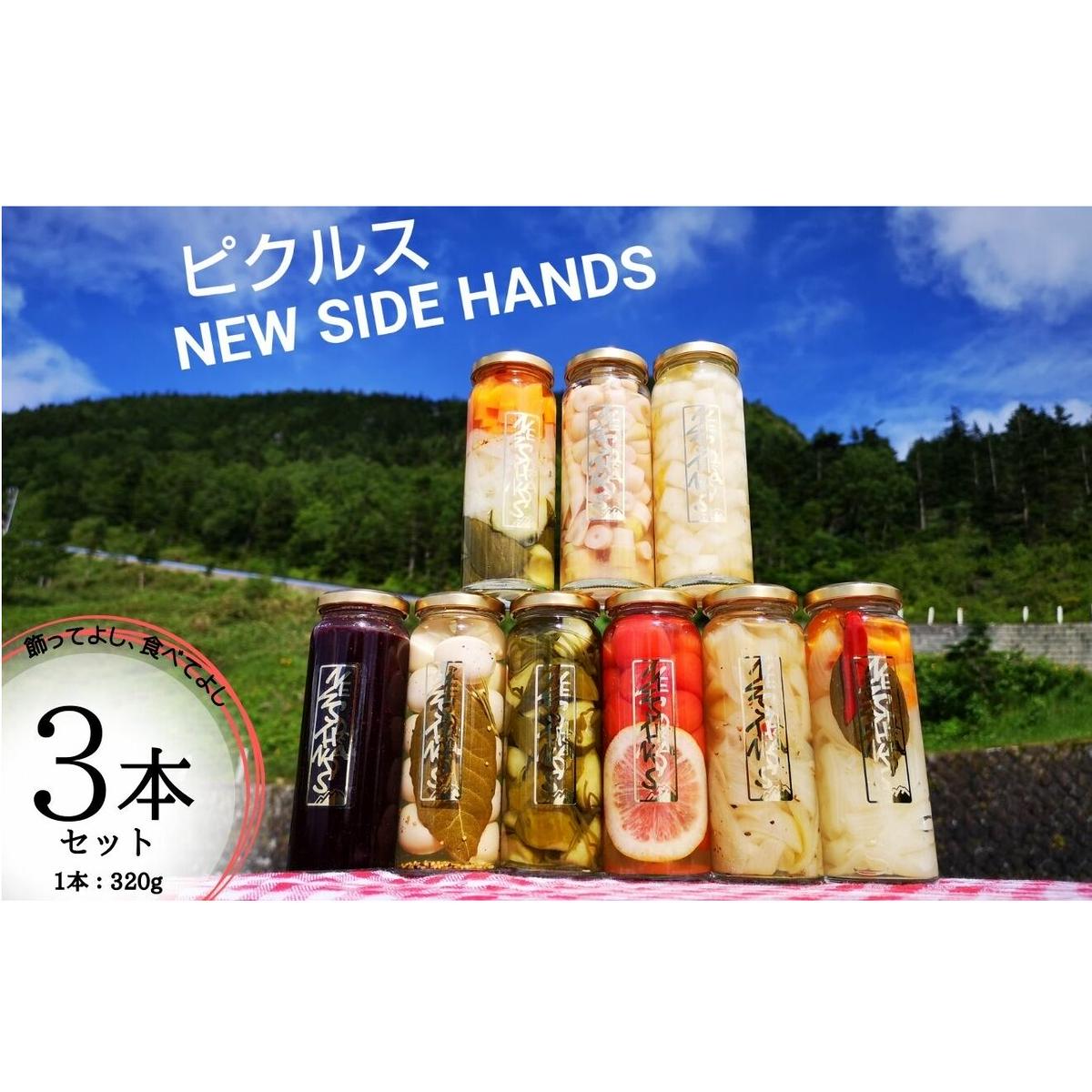 NEW SIDE HANDS ピクルス（S）3本入 加工食品 野菜加工品 野菜 瓶詰 