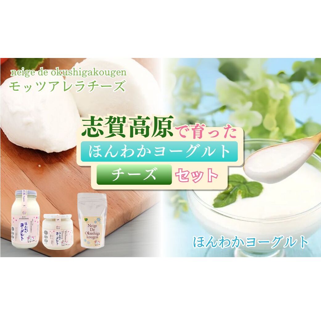 志賀高原で育った ほんわかヨーグルト・チーズセット 乳製品 加工食品