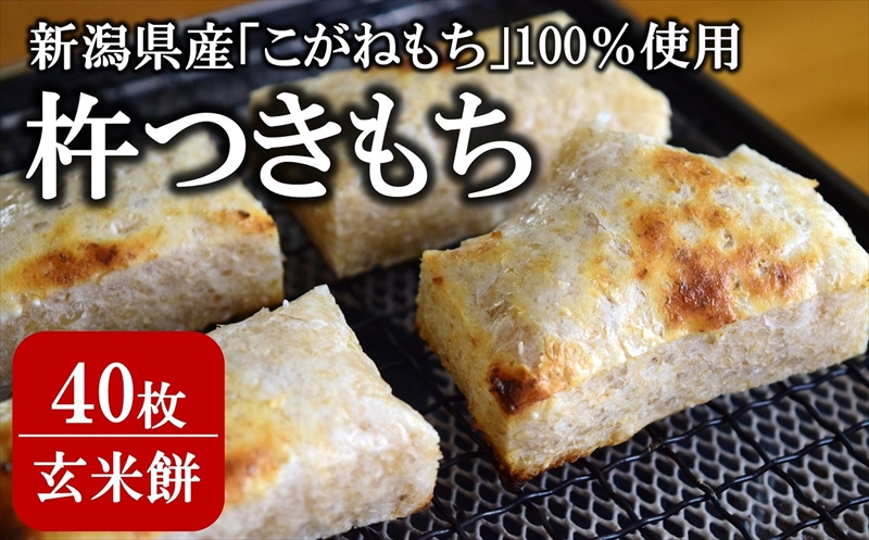 玄米餅 切り餅 430g入×5パック（計 40切）こがねもち100％使用 角餅