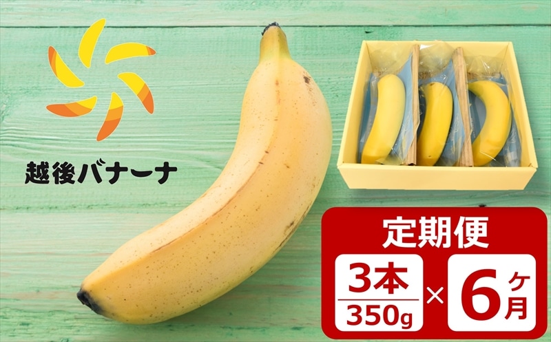 【定期便・雪国新潟産バナナ】3本(350g)×6回 濃厚な甘さともっちり食感!安心安全の越後バナーナ